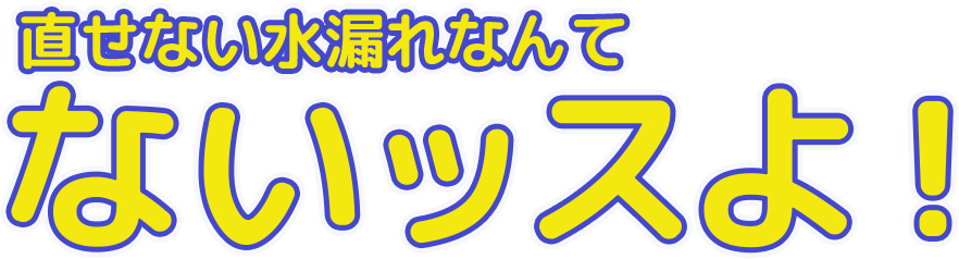 直せない水漏れなんてないっすよ！